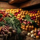 Best Vegetables for Root Cellar Storage | Farm Guide