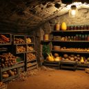 How to Store Vegetables in a Root Cellar Guide