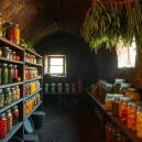 Storing Food in a Root Cellar – A Complete Guide